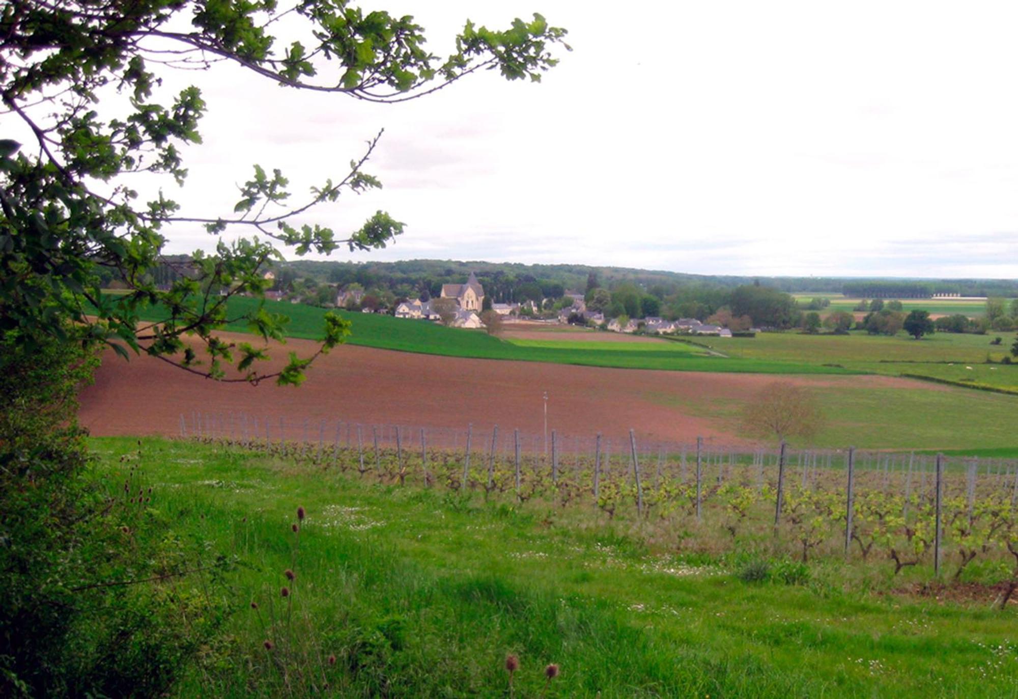 La Butte De Gohier Blaison Exterior foto