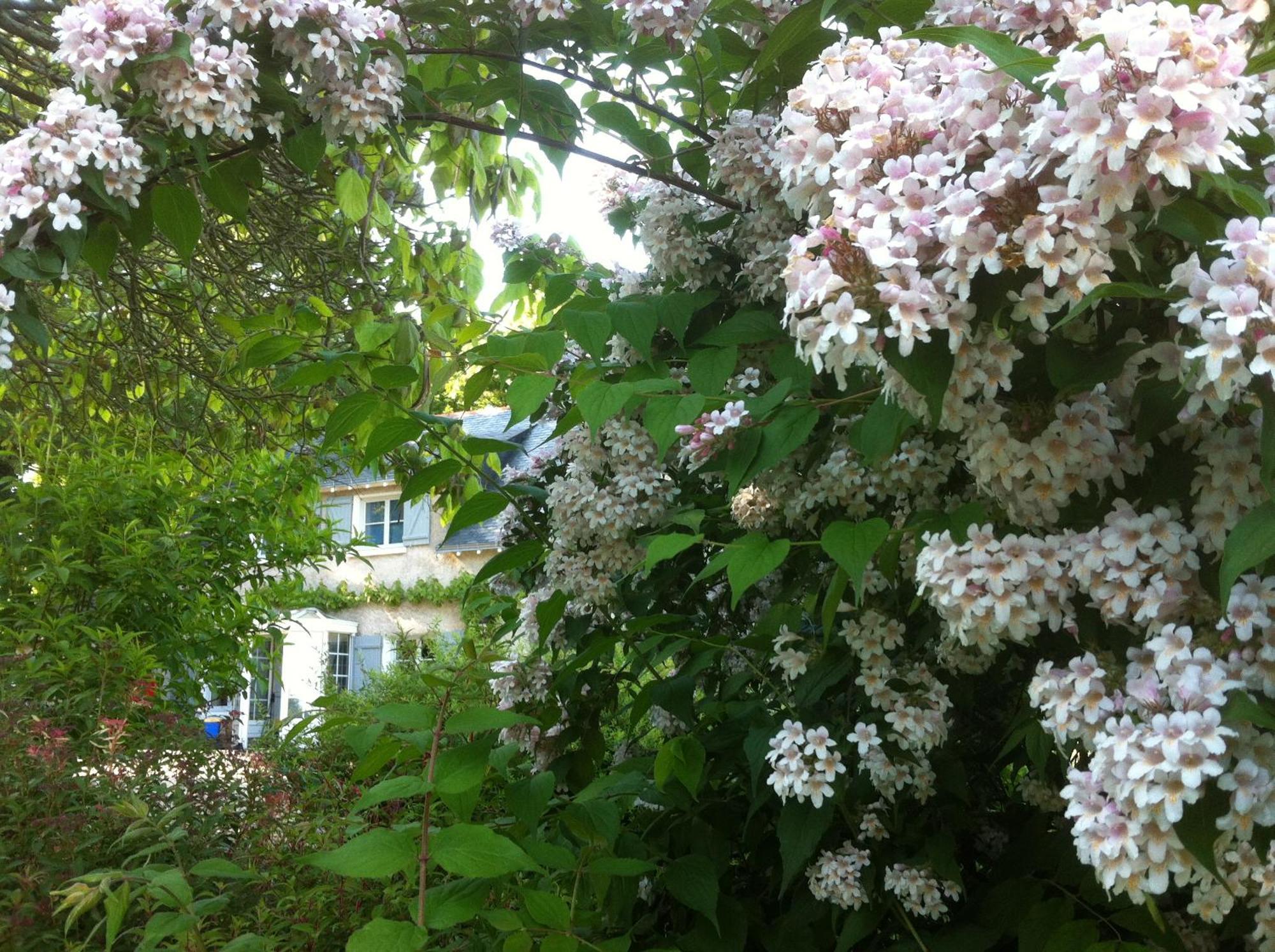 La Butte De Gohier Blaison Exterior foto